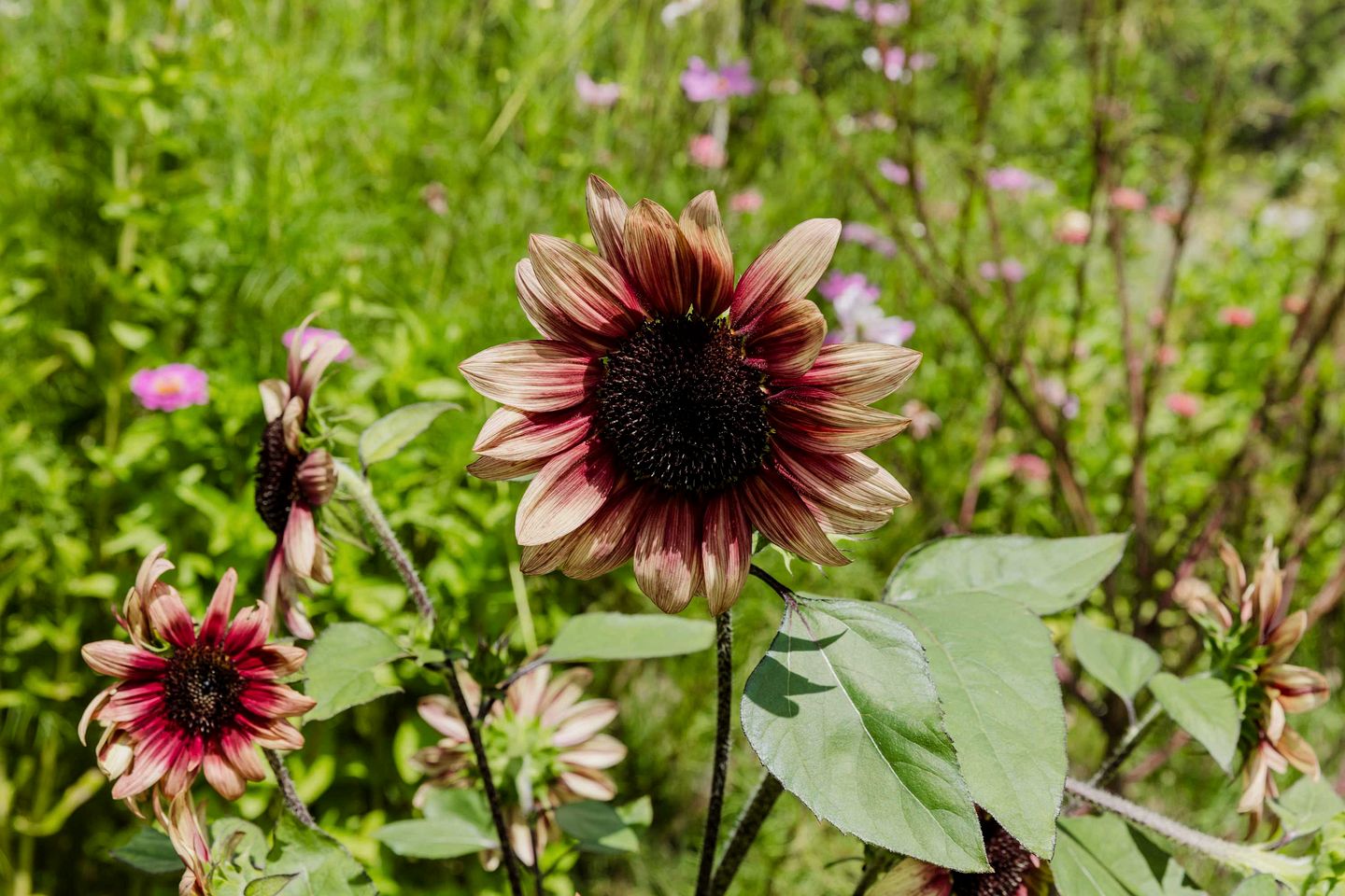 Clarence Farm Stay in James Creek, New South Wales