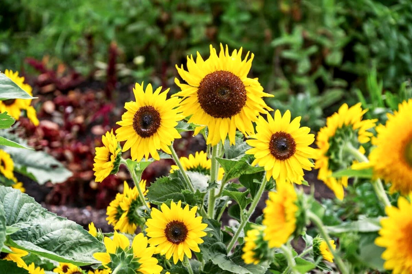 Clarence Farm Stay in James Creek, New South Wales