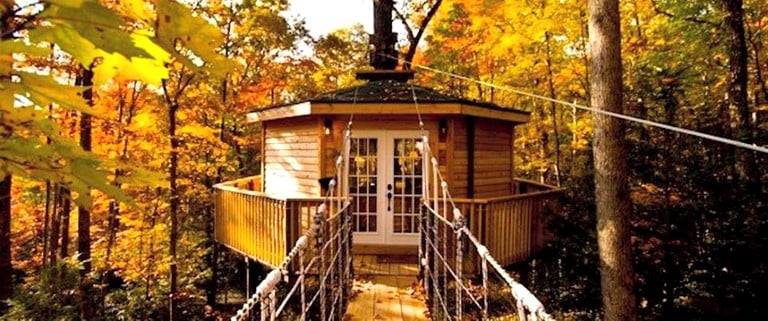 Tree Houses (Hico, West Virginia, United States)