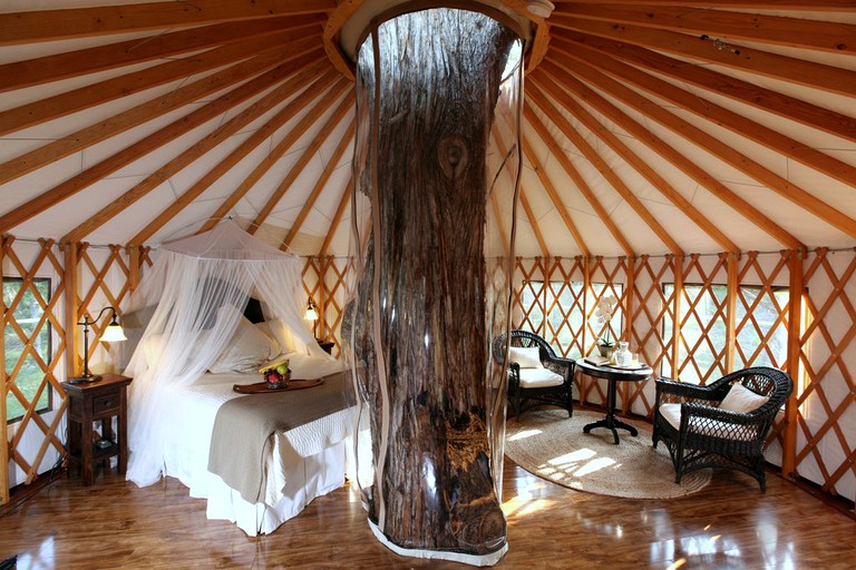 Enjoy a luxury tree house! Austin accommodations don't come better than this luxury, spacious room