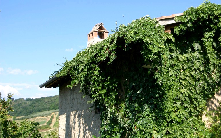 Vacation Rentals (Poggibonsi, Tuscany, Italy)