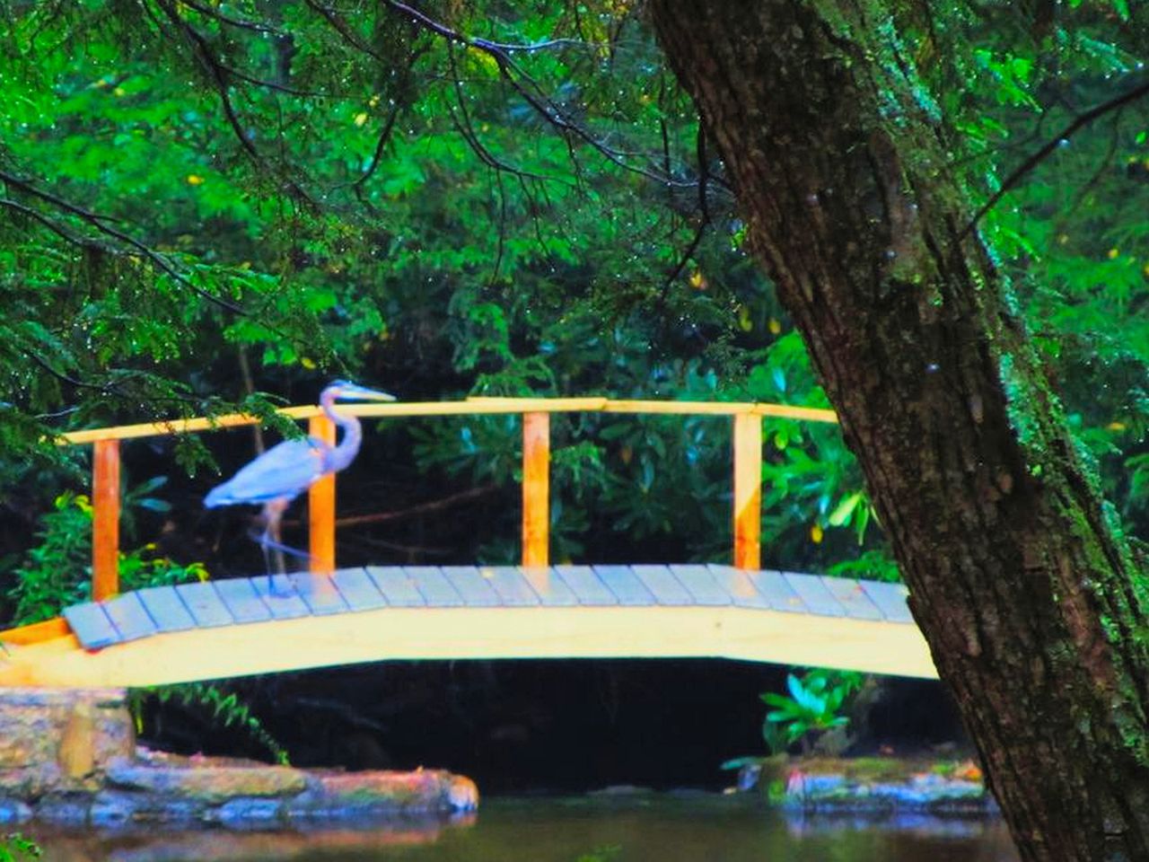 Stunning Weekend Getaway near Hickory Run State Park in Pennsylvania