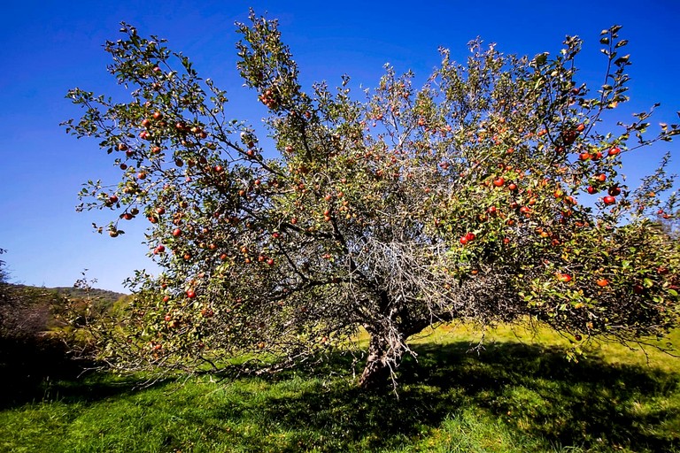 Vacation Rentals (United States of America, Margaretville, New York)