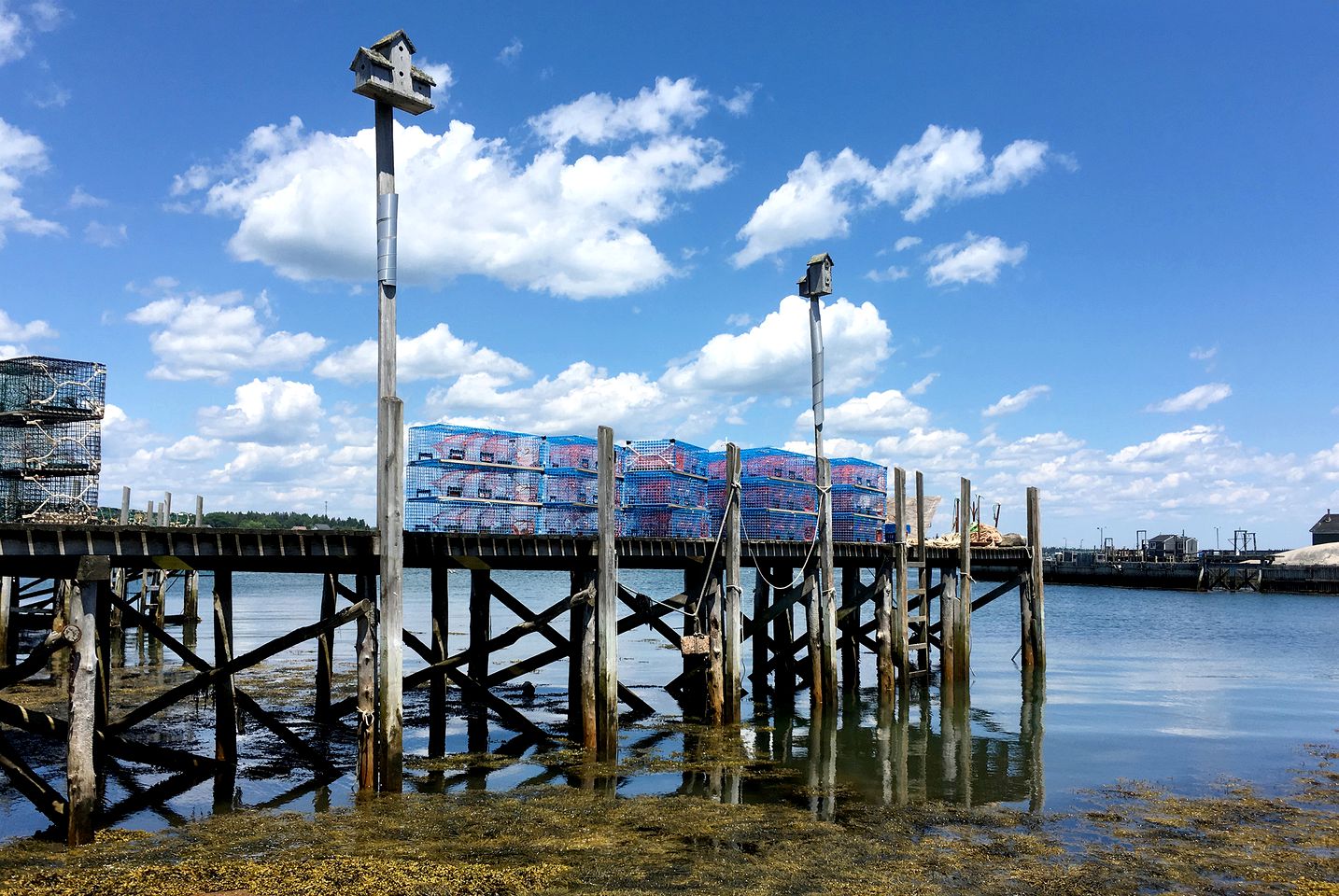 Stylish Cottage Rental with Multiple Decks on Beals Island near Jonesport
