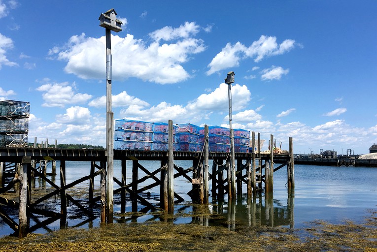 Vacation Rentals (Beals, Maine, United States)