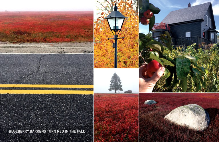 Vacation Rentals (Beals, Maine, United States)