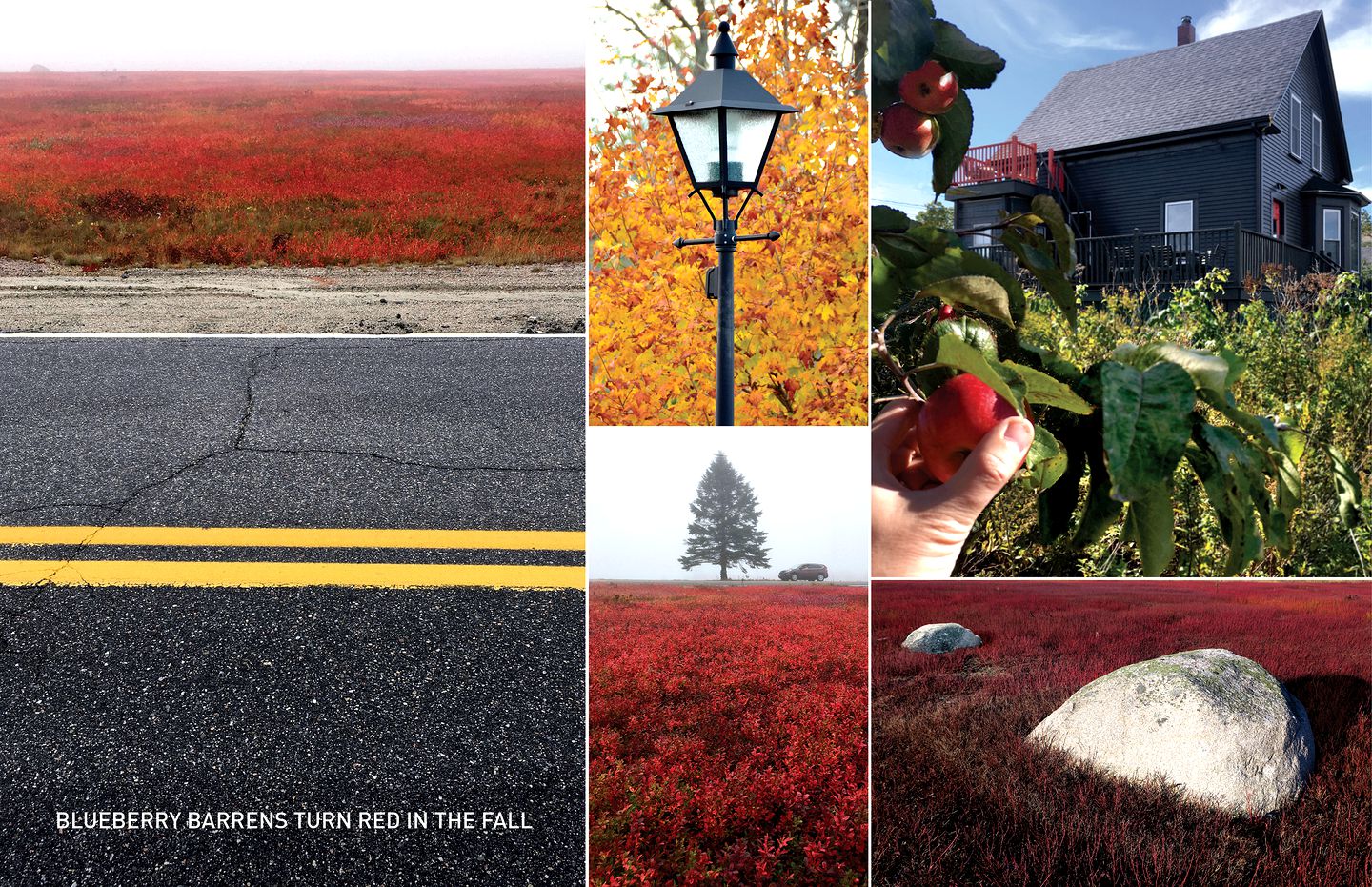 Stylish Cottage Rental with Multiple Decks on Beals Island near Jonesport