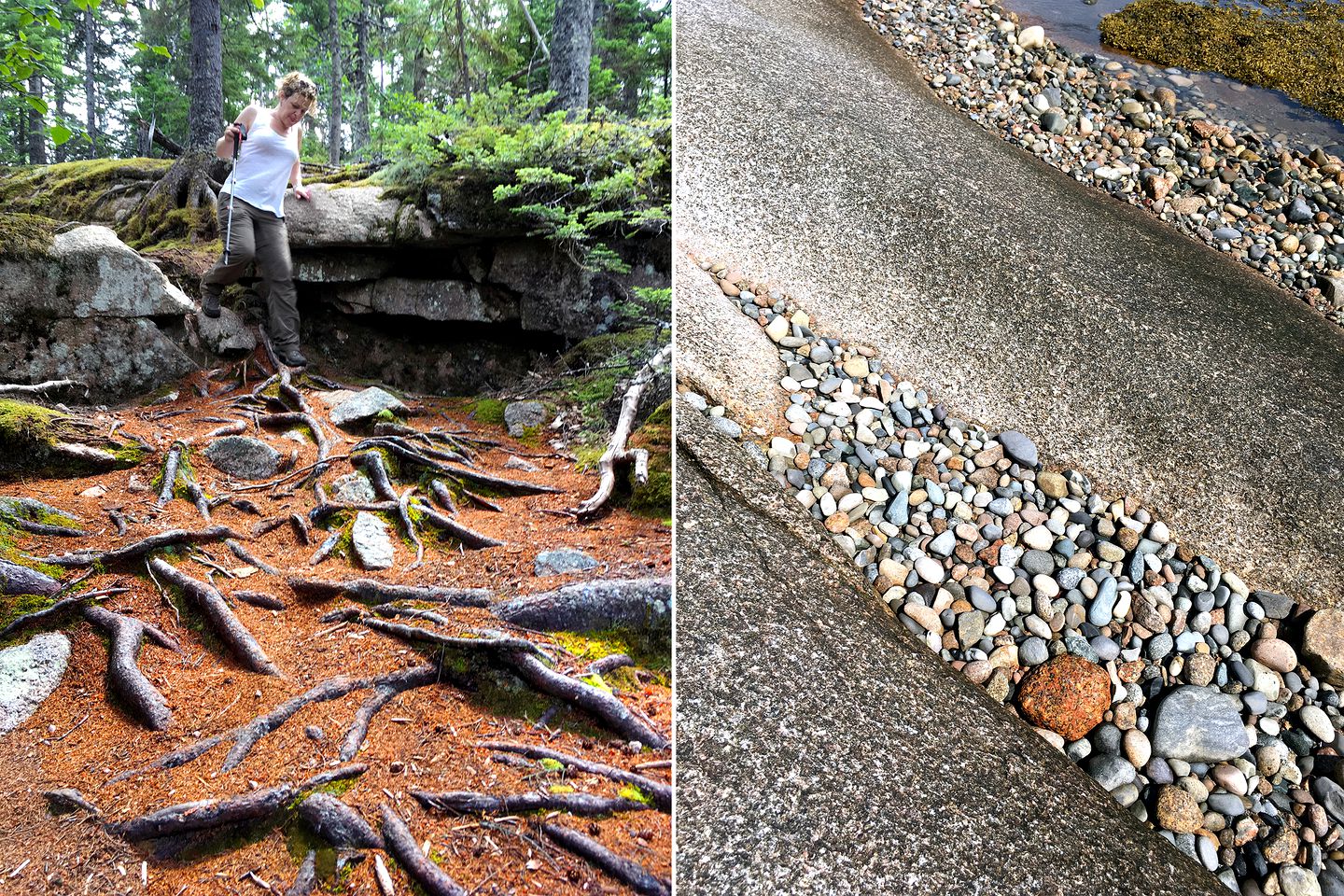 Stylish Cottage Rental with Multiple Decks on Beals Island near Jonesport