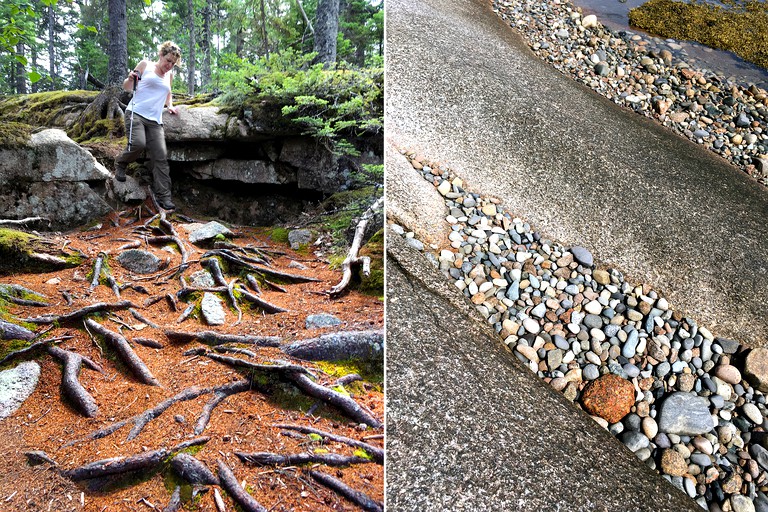 Vacation Rentals (Beals, Maine, United States)