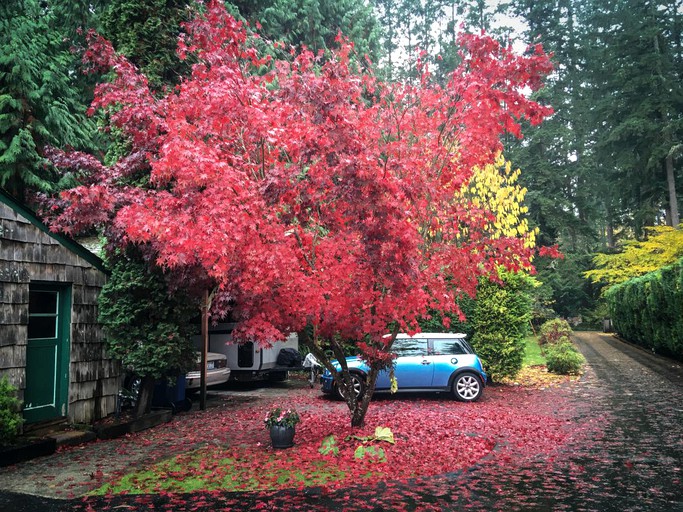 Vacation Rentals (Woodinville, Washington, United States)