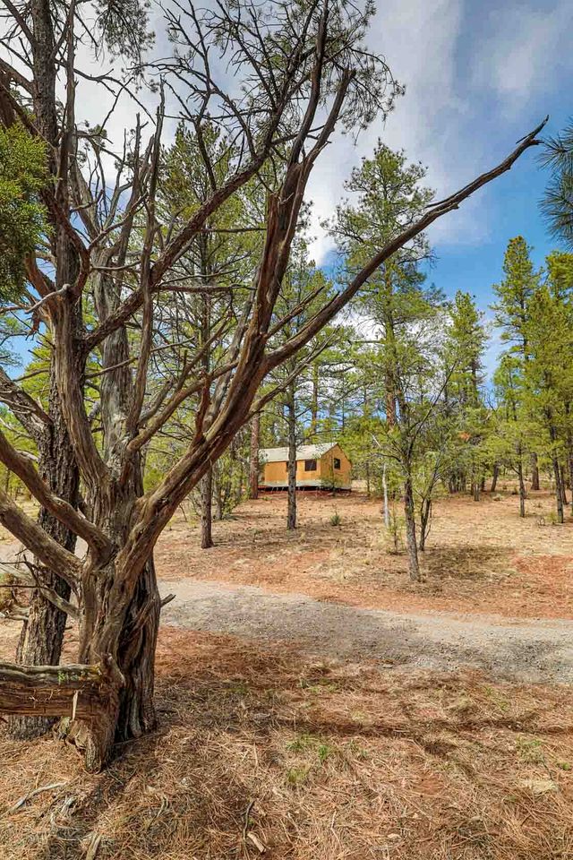Stylish Safari Tent on the Campground Closest to the Grand Canyon National Park, Perfect for a Weekend of Hiking and Exploring