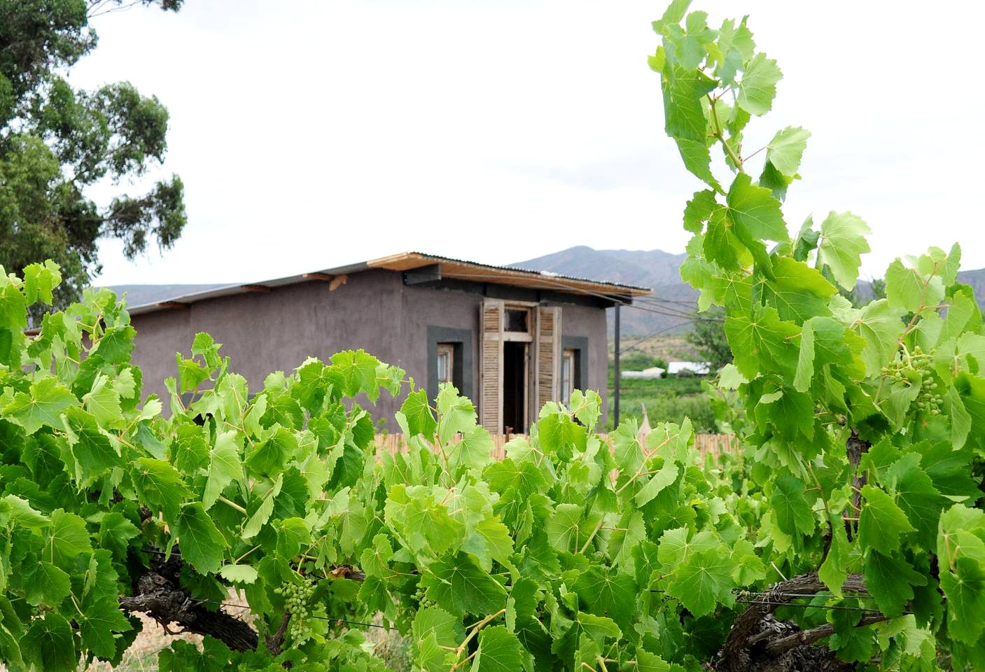 Tiny House Rental in the Mountains of Calitzdorp in Western Cape, South Africa