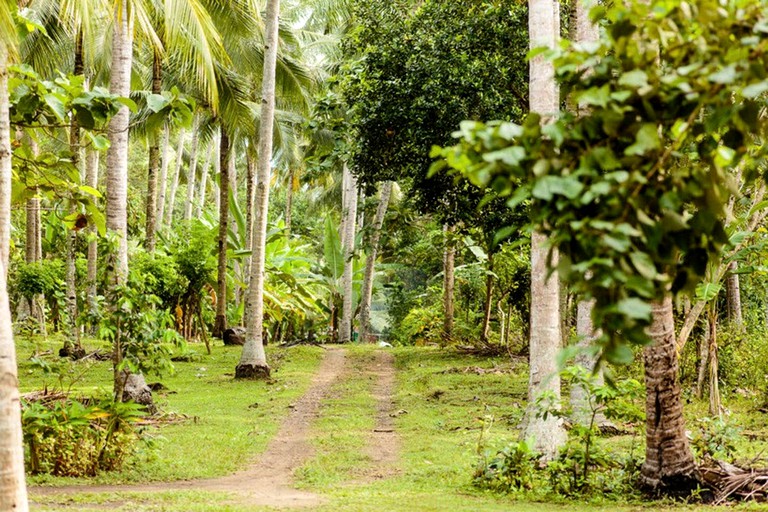 Safari Tents (Bali, Bengkulu, Indonesia)