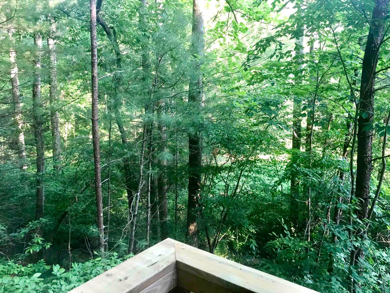 Charming Tree House with a Hot Tub in Chattahoochee National Forest, Georgia