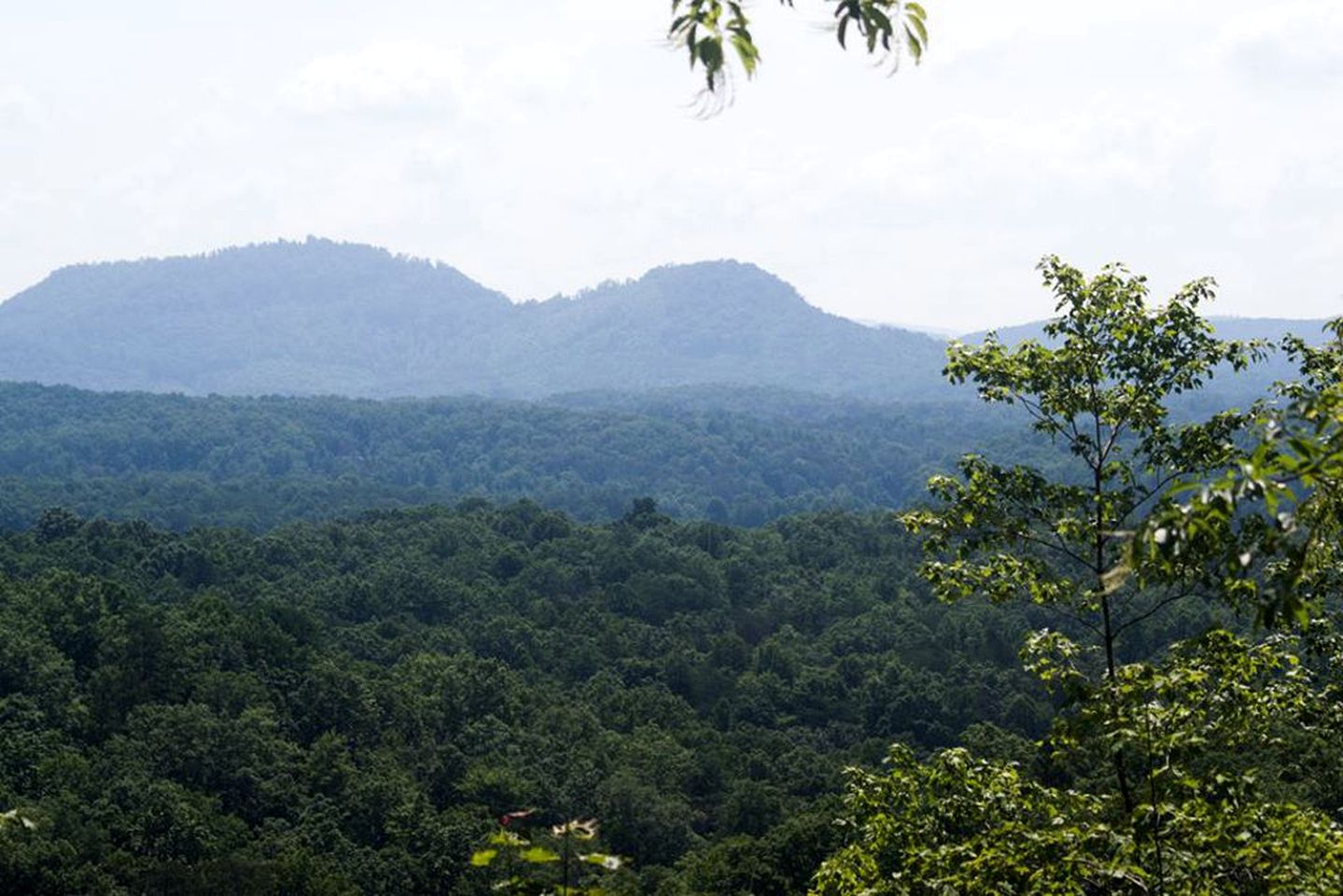Large Rustic Cabin Overlooking the Mountains near Marion, North Carolina