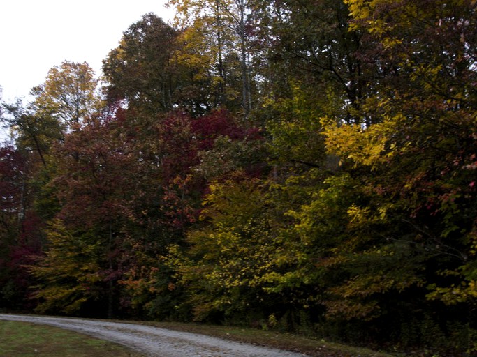 Cabins (Marion, North Carolina, United States)