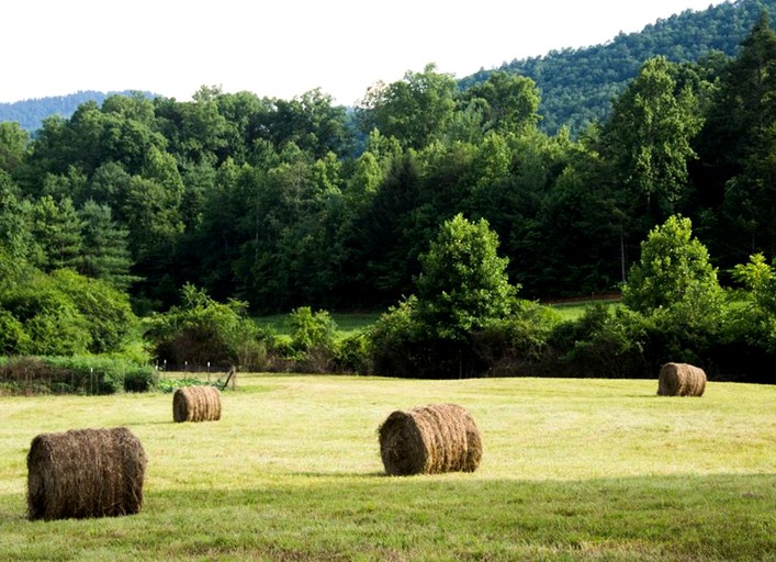 Cabins (Marion, North Carolina, United States)