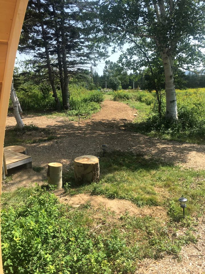Impressive Pod Nestled Amidst Trees in Ingonish Beach, Nova Scotia