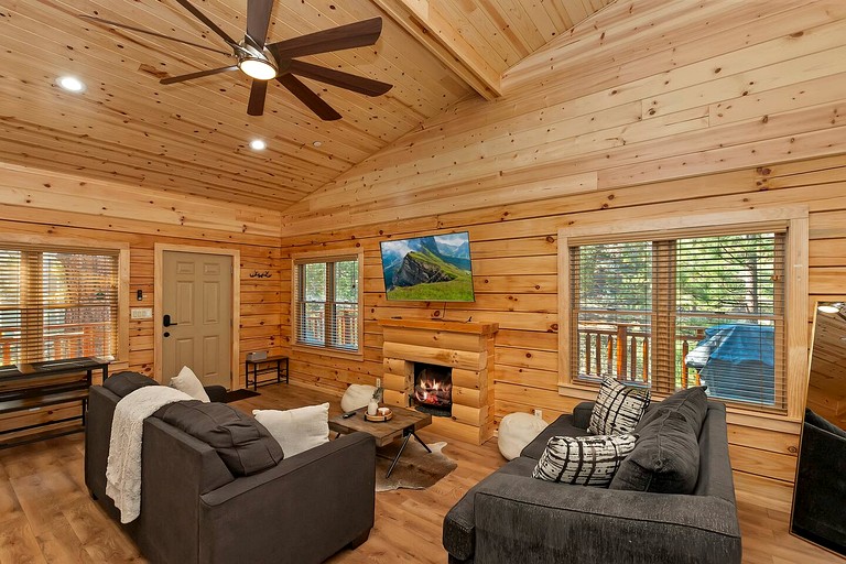 Vacation Rentals (United States of America, Big Bear, California)