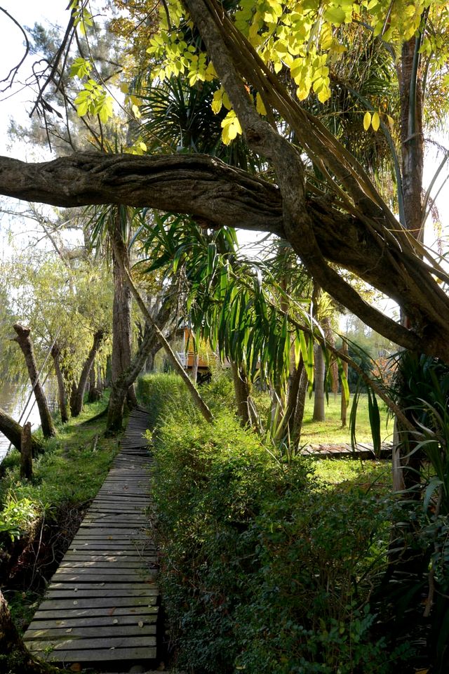 Romantic Nordic-Style Riverfront Suites with Private Dock near Tigre, Buenos Aires