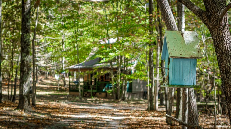 Cabins (United States of America, Mentone, Alabama)