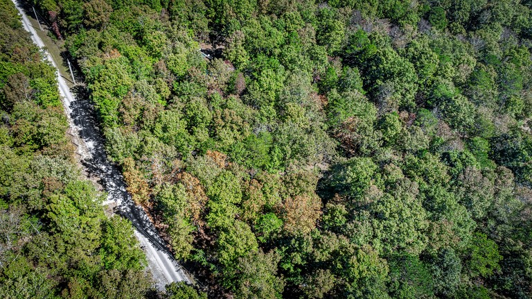 Cabins (United States of America, Mentone, Alabama)