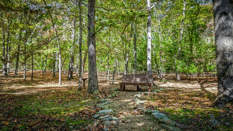 Cabins (United States of America, Mentone, Alabama)