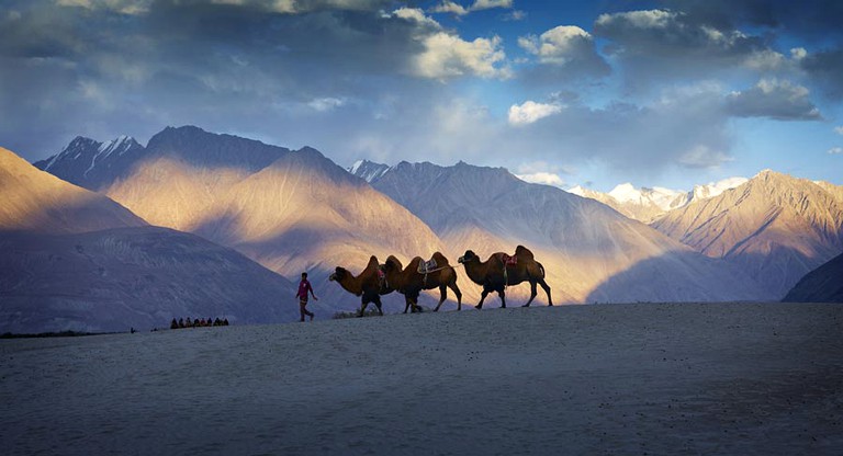 Safari Tents (Leh, Jammu and Kashmir, India)