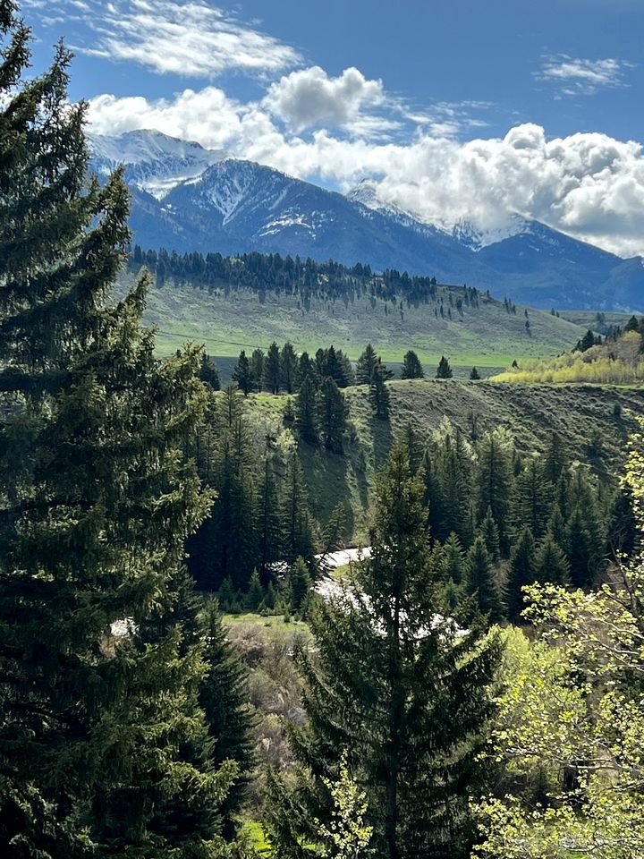 Elegant Mountain Retreat with Private Fishing Access near Madison River, Montana