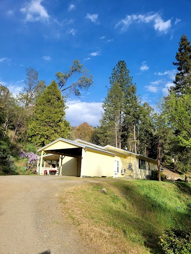 Cabins (United States of America, Big Flat, California)