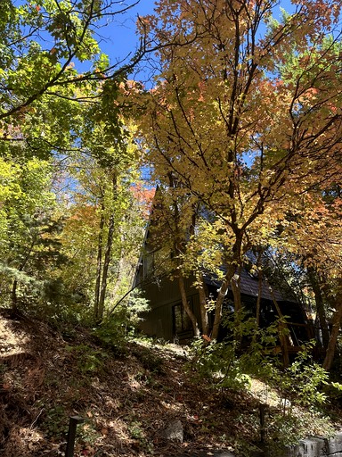 Cabins (United States of America, Sundance, Utah)