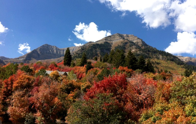 Cabins (Sundance, Utah, United States)