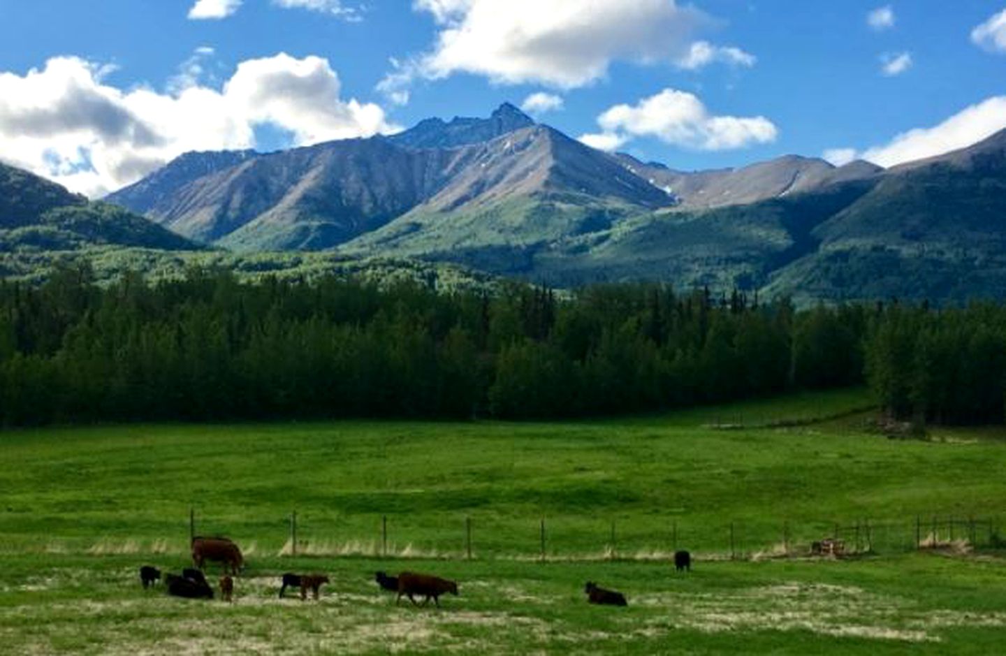 Rustic Vacation Rental with Scenic Views of the Chugach Mountains in Palmer, Alaska