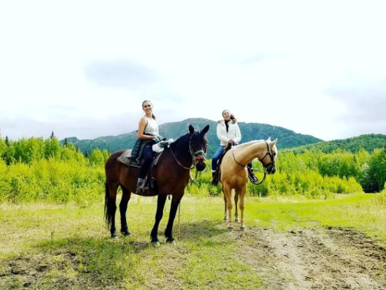 Rustic Vacation Rental with Scenic Views of the Chugach Mountains in Palmer, Alaska