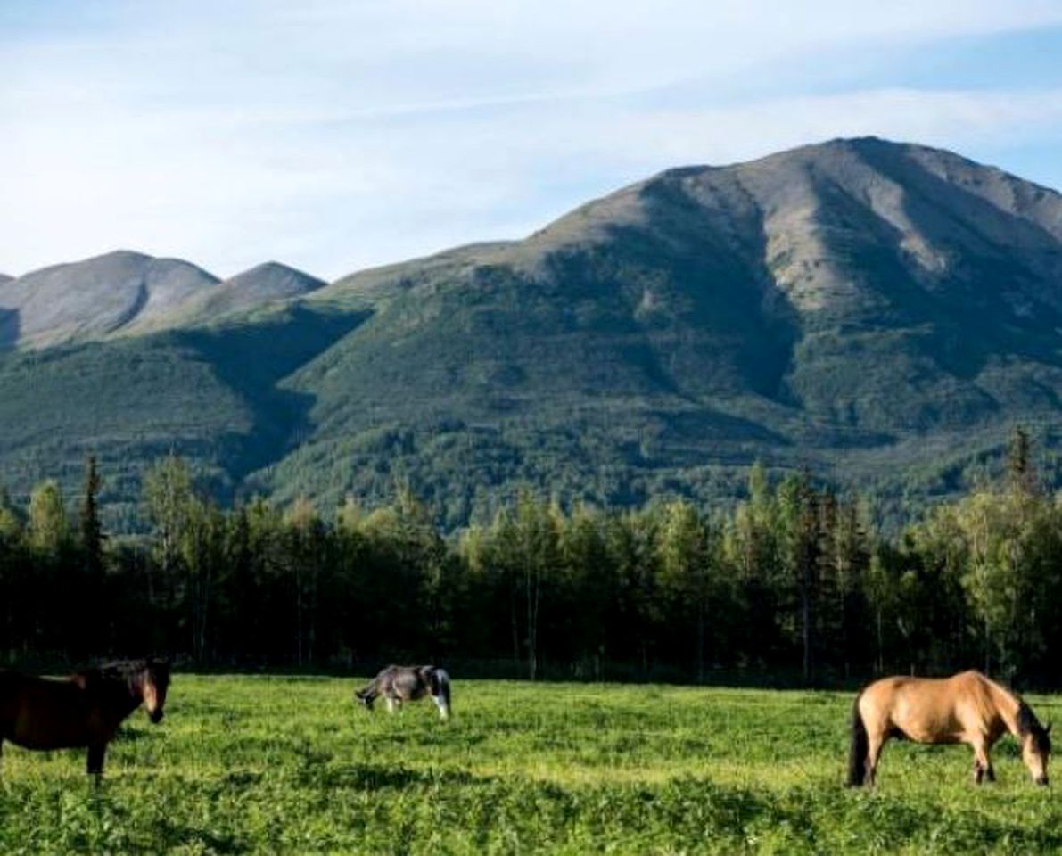 Rustic Vacation Rental with Scenic Views of the Chugach Mountains in Palmer, Alaska