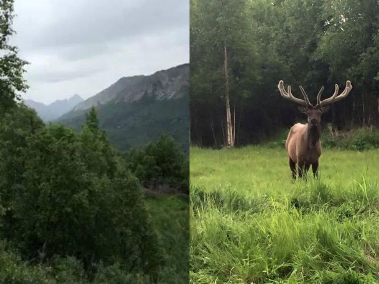 Comfortable Getaway Rental with Incredible Mountain Views near Anchorage, Alaska
