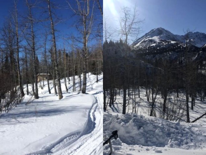 Nature Lodges (Palmer, Alaska, United States)