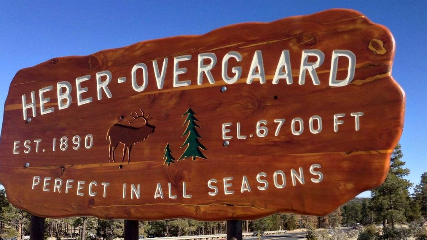 The Sunflower Cabin, Pet Friendly Near Heber-Overgaard, Arizona