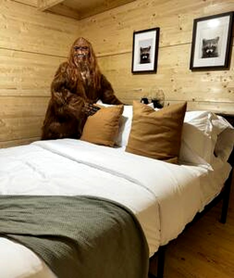 Pet-Friendly Cabin Great for a Romantic Getaway in Nova Scotia