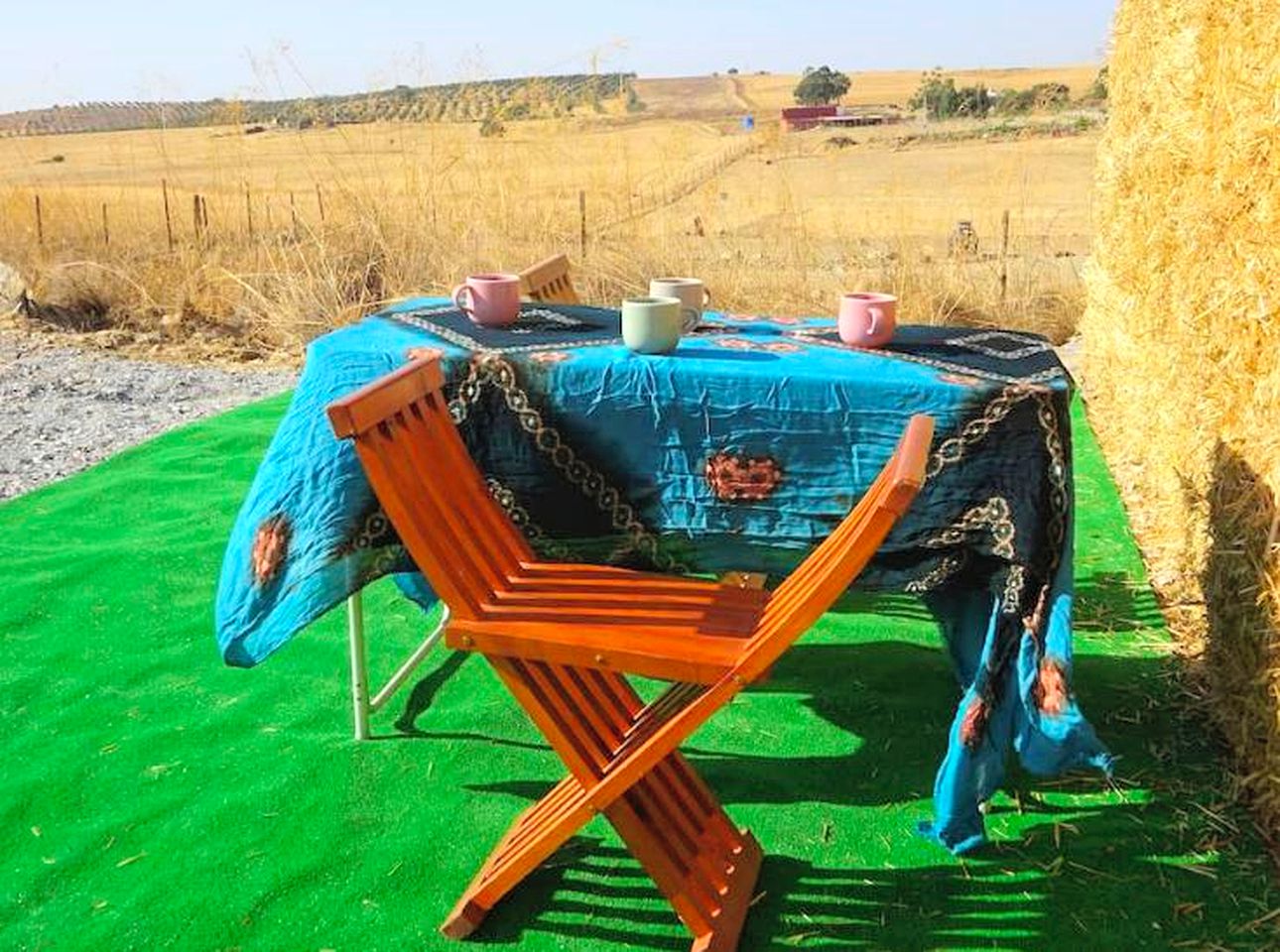 Sunny Bell Tent on a Family Farm near Ecotourism Zone in Castro Verde, Portugal