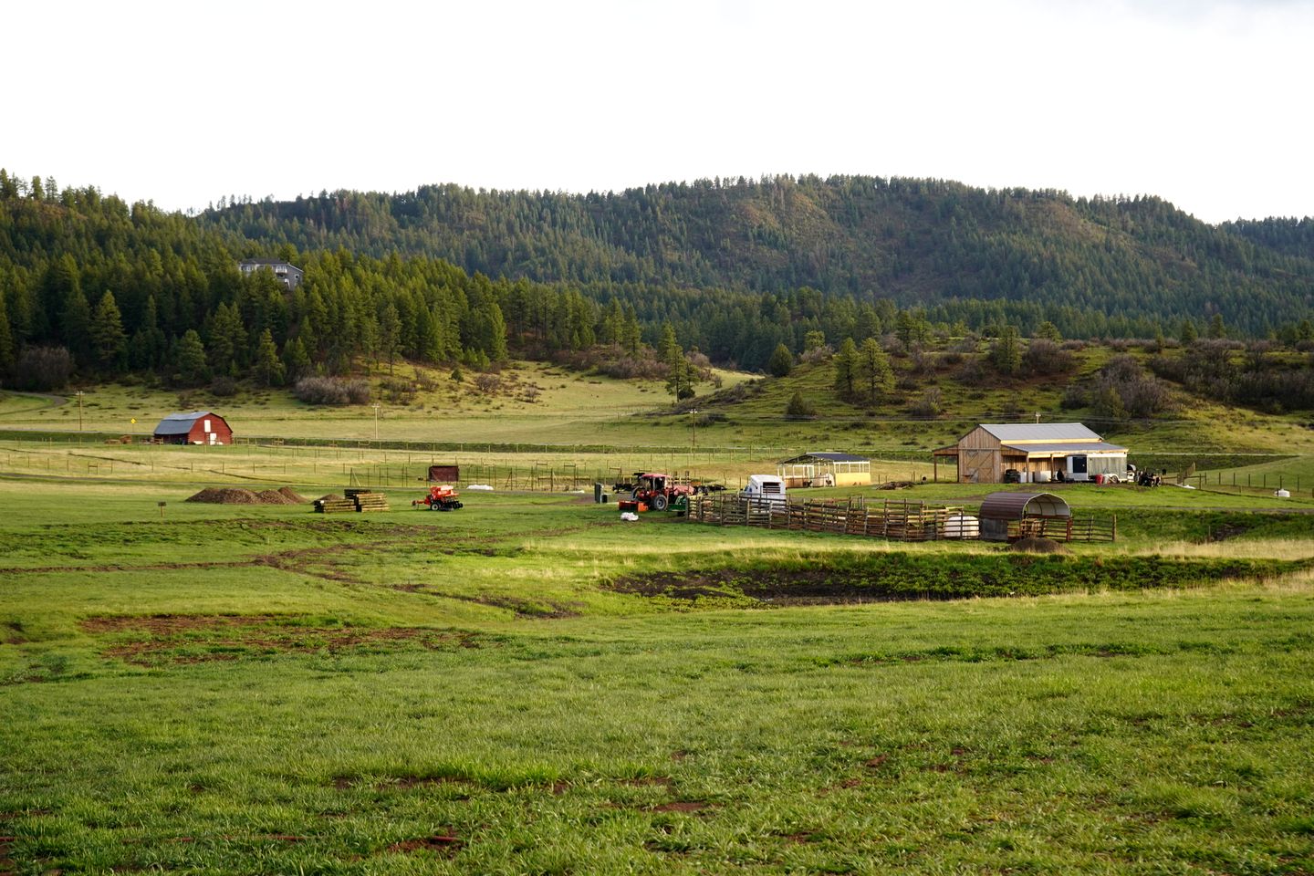 Luxury Glass-Wall Cabin with Private Fire Pit near Pagosa Springs, Colorado