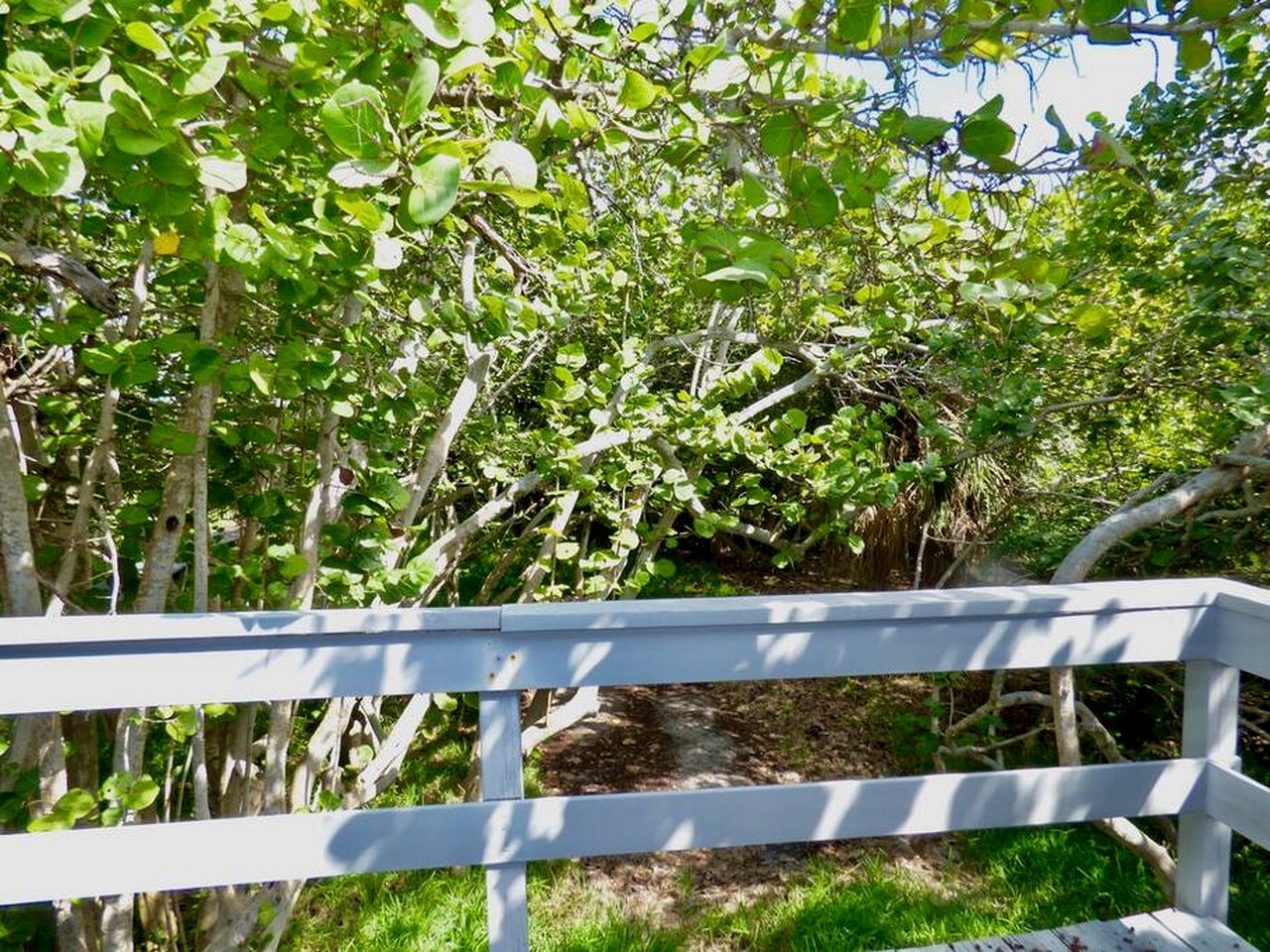 Charming Beachfront Cottage with Private Dock on Little Gasparilla Island, Florida