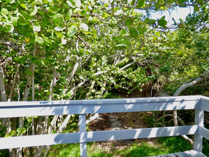 Cottages (United States of America, Placida, Florida)