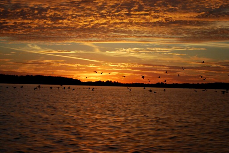 Waterfront Cabin with Amazing Sleeping Loft on Pelican Lake, Minnesota | Cabins (Orr, Minnesota, United States of America)