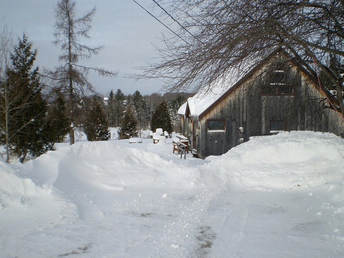 Cabins (Craftsbury Common, Vermont, United States)