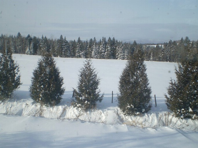 Cabins (Craftsbury Common, Vermont, United States)