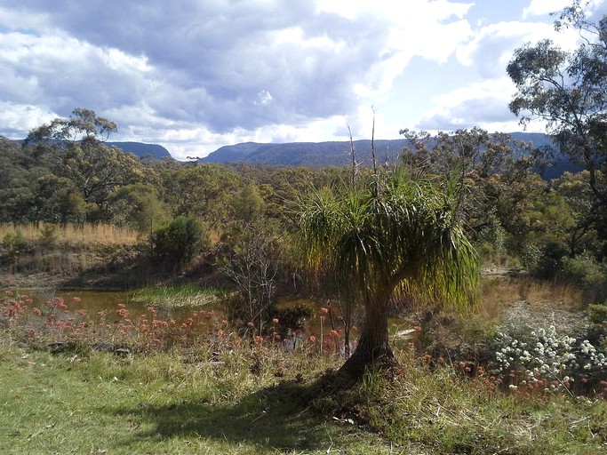 Cottages (Kurrajong Hills, New South Wales, Australia)