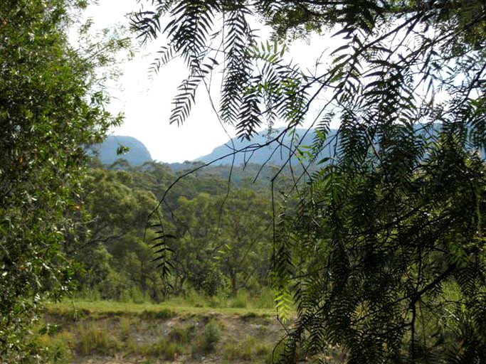 Cottages (Kurrajong Hills, New South Wales, Australia)