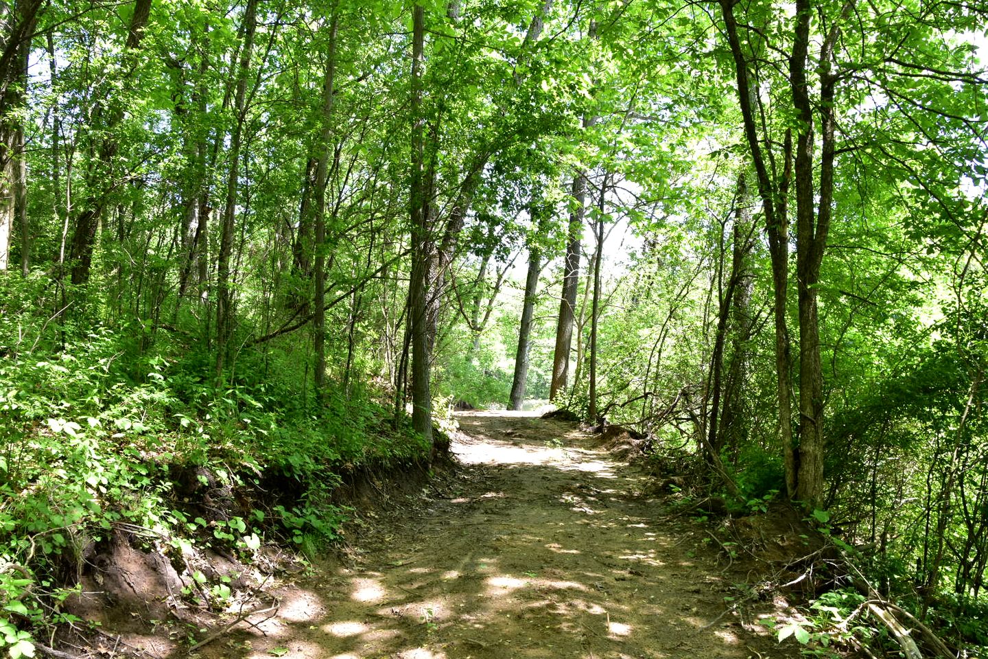 Three Quaint Glamping Tents Surrounded by Nature for a Wonderful Group Getway in Troy, Wisconsin