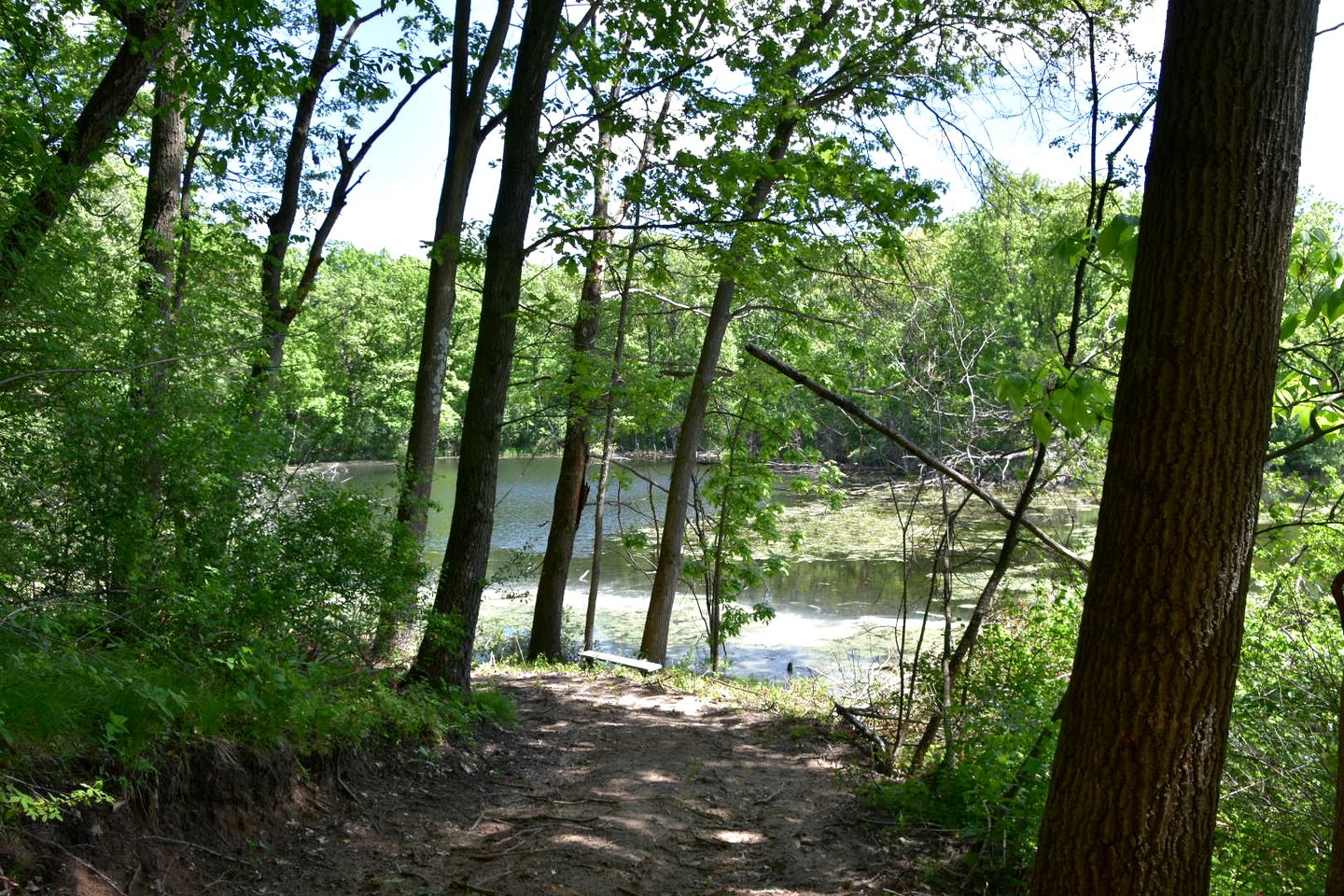 Three Quaint Glamping Tents Surrounded by Nature for a Wonderful Group Getway in Troy, Wisconsin